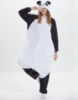 Picture of Kung Fu Panda Onesie