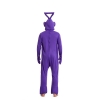 Picture of Adult Teletubbies Jumpsuit Party Fancy Dress Up