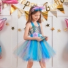 Picture of Girls Mermaid Tutu Dress for Book Week