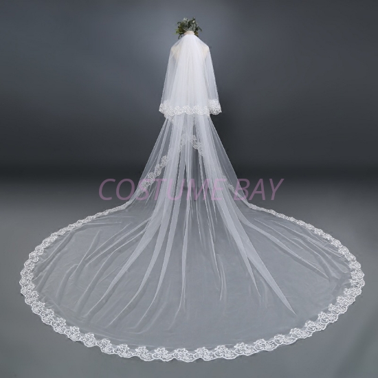 Picture of One-tier Classic Wedding Ivory Veil Cathedral Veil with Lace Solid 3m Tulle