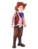 Picture of Cowboy Boys  Western Bull Vest Jumpsuit