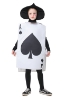 Picture of Kids Ace of Spades Costumes