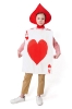 Picture of Kids Ace of Hearts Costumes