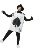 Picture of Kids Ace of Hearts Costumes