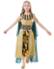 Picture of Girls Egyptian Queen of the Nile Cleopatra Costume 