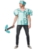 Picture of Adult Minecraft Armour Costume