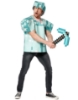 Picture of Adult Minecraft Armour Costume