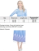 Picture of Adult Ladies Deluxe Frozen 2 Princess Elsa Costume Dress