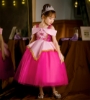 Picture of Girls Sleeping Beauty Princess Aurora Dress Costume 