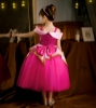 Picture of Girls Sleeping Beauty Princess Aurora Dress Costume 