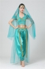 Picture of Women's Aladdin Jasmine belly dance Costume