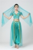 Picture of Women's Aladdin Jasmine belly dance Costume