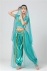 Picture of Women's Aladdin Jasmine belly dance Costume