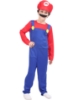 Picture of Boys Super Mario Luigi Plumber Mushroom Costume