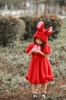 Picture of Girls Easter Bunny Rabbit Dress - Red