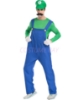 Picture of Super Mario Bros Mens Costume Luigi