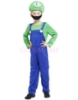 Picture of Boys Super Mario - Luigi Costume