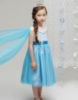 Picture of Frozen Elsa - Satin Tulle Dress