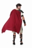Picture of Mens Gladiator Roman Warrior Costume