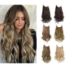 Picture of Hair Extensions - Long Wavy Natural Colours Halo Wire Adjustable