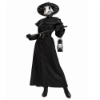 Picture of Adult Plague Doctor Costume Black Robe Bird Beak Mask Hat