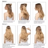 Picture of Hair Extensions - Long Wavy Natural Colours Halo Wire Adjustable