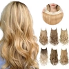 Picture of Hair Extensions - Long Wavy Natural Colours Halo Wire Adjustable
