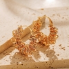 Picture of Spring Winding Earrings Gold Plated Hoop