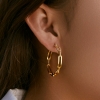 Picture of Stylish 18k Gold Plated Hoops Earrings