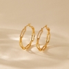 Picture of Stylish 18k Gold Plated Hoops Earrings