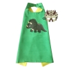 Picture of Kids Dinosaur Cape and Mask Costume for Book Week Fun