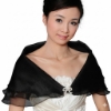 Picture of Elegant Women's Sheer Lace Shawl Cape with Bow Clasp