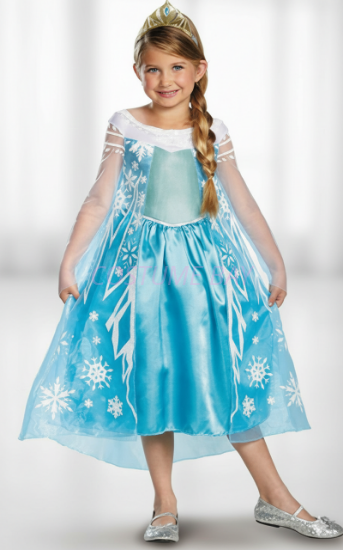 Picture of Frozen Princess Elsa Costume Dress