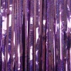 Picture of Fringe Backdrop Curtain Glitter Tinsel Streamers