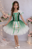 Picture of Girls Ballet Dress Stars Ombre Oktoberfest