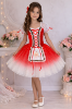 Picture of Girls Ballet Dress Stars Ombre Oktoberfest