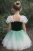 Picture of Girls Ballet Dress Stars Ombre Oktoberfest
