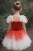 Picture of Girls Ballet Dress Stars Ombre Oktoberfest