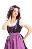 Picture of Oktoberfest Beer Maid Dirndl Dress Costume