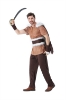 Picture of Mens Viking Costume Brown Cosplay Outfit