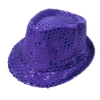 Picture of Sequin Trilby Hat Party Dance Costume Accessory